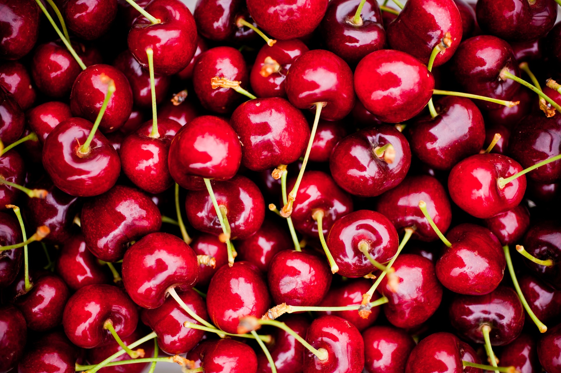 Cerezas Frutber cosechadas